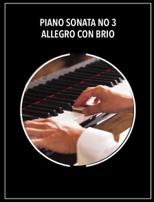 Piano sonata no 3 | Allegro con brio