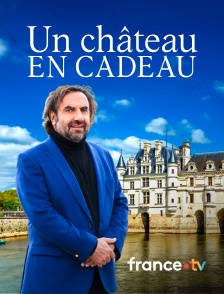 france.tv - Un château en cadeau