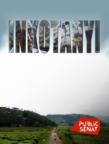 Public Sénat - Inkotanyi