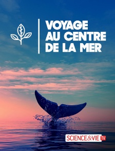 Science et Vie TV - Voyage au centre de la mer