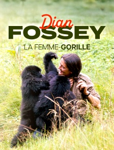 Dian Fossey, la femme-gorille