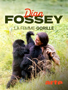 Arte - Dian Fossey, la femme-gorille
