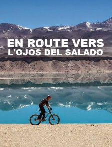 En route vers l'Ojos del Salado