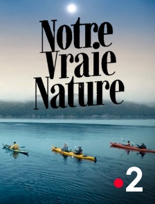 France 2 - Notre vraie nature en replay