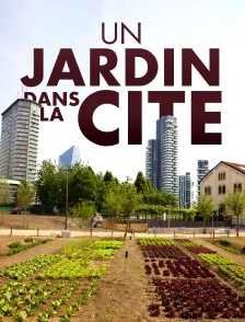 Un jardin dans la cité