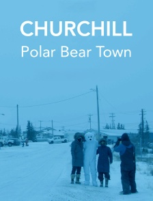 Churchill, polar bear town