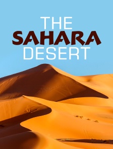 The Sahara Desert