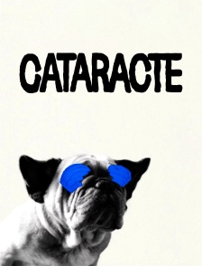 Cataracte