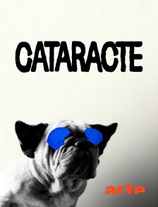 Arte - Cataracte