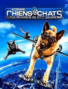 Comme chiens et chats : la revanche de Kitty Galore