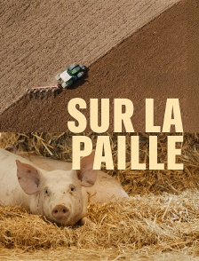 Sur la paille