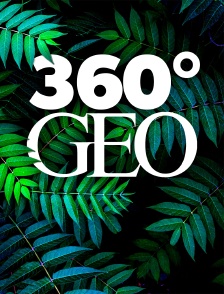 360° - GEO Reportage