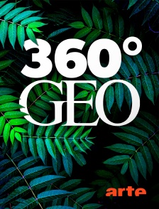 Arte - 360° - GEO Reportage