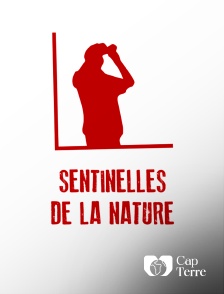 Cap Terre - Sentinelles de la nature