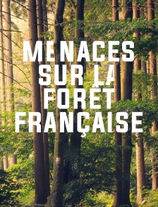 Menaces sur la forêt française