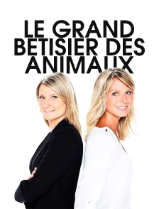 Le grand bêtisier des animaux