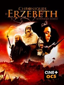 CINÉ Cinéma - Chroniques d'Erzebeth : Le royaume assailli