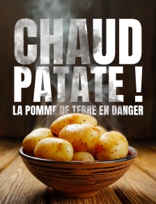 Chaud patate ! La pomme de terre en danger