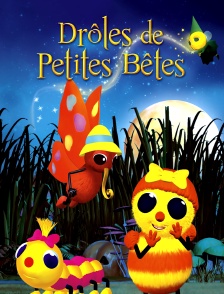 Les quatre saisons des drôles de petites bêtes