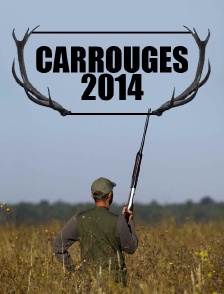 Carrouges 2014
