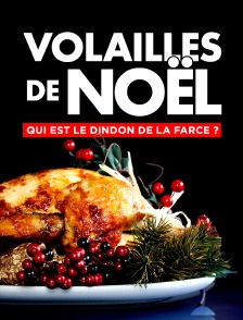 Volailles de Noël : qui est le dindon de la farce ?