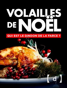 France TV Docs - Volailles de Noël : qui est le dindon de la farce ?