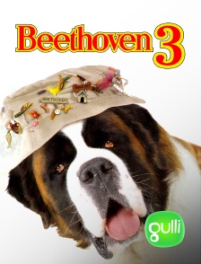 Beethoven 3