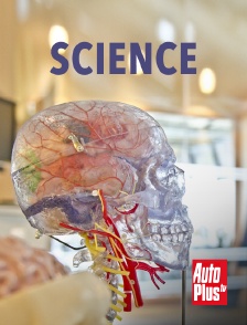 AutoPlus - Auto-Ikonen