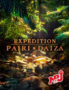 NRJ 12 - Expédition Pairi Daiza