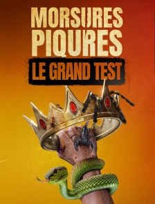 Morsures et piqûres : le grand test
