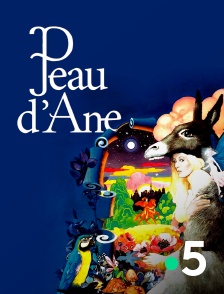 France 5 - Peau d'âne
