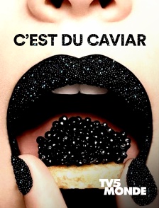 TV5MONDE - C'est du caviar