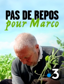 France 3 - Pas de repos pour Marco