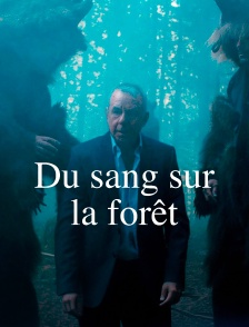 Du sang sur la forêt
