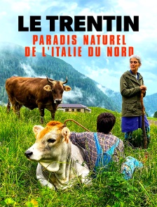 Le Trentin : Paradis naturel de l'Italie du Nord