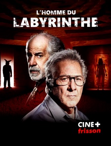 L'homme du labyrinthe