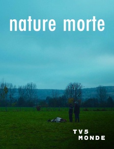 TV5MONDE - Nature morte
