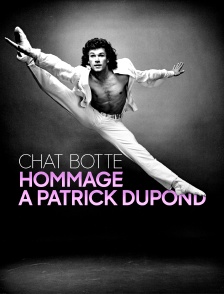 Chat botté : Hommage à Patrick Dupond