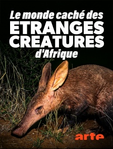 Arte - Le monde caché des étranges créatures d'Afrique