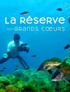 La réserve aux grands coeurs