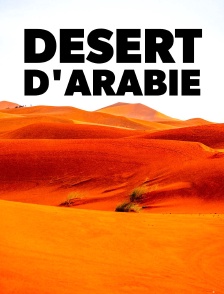 Désert d'Arabie : dans les pas des caravaniers d'autrefois