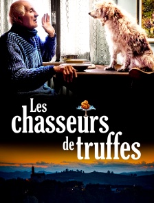 Les chasseurs de truffes