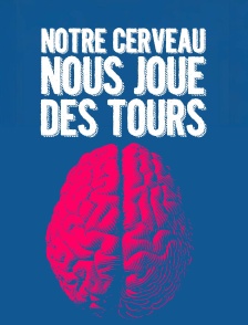Notre cerveau nous joue des tours