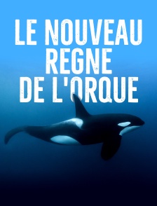 Le nouveau règne de l'orque