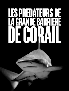 Les prédateurs de la Grande Barrière de corail