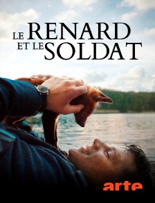 Arte - Le renard et le soldat