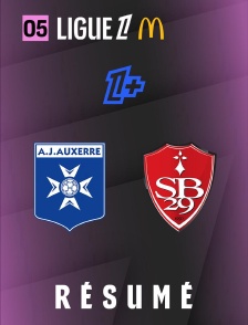 RESUME L1 J05 AJA-SB29