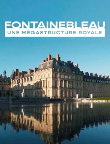 Fontainebleau, une mégastructure royale