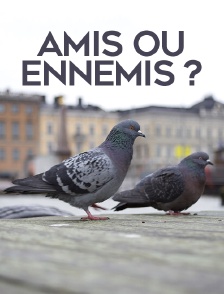 Amis ou ennemis ?