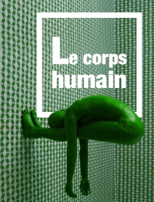 Le corps humain